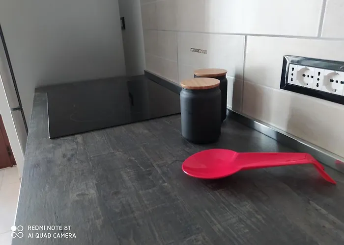 度假居 Chez Meme 莱西纳